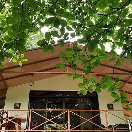 Casa Martina Lägenhet Cahuita Exteriör bild