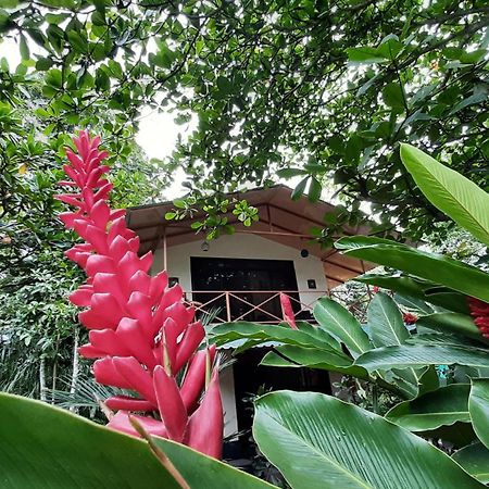 Casa Martina Lägenhet Cahuita Exteriör bild