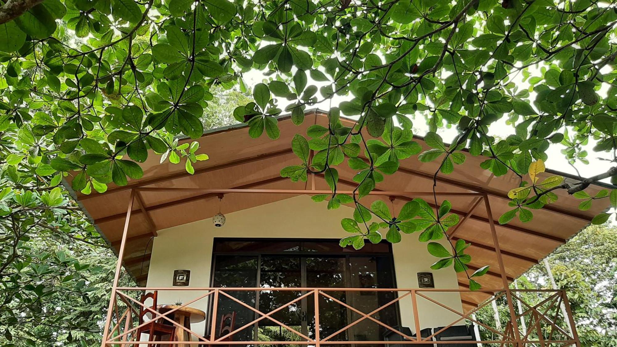 Casa Martina Lägenhet Cahuita Exteriör bild